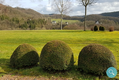 Lage und Umgebung