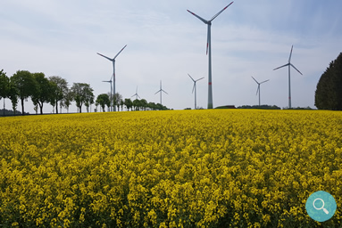 Lage und Umgebung